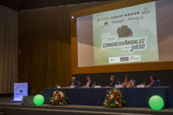 EXPO CONGRESO TORREMOLINOS congreso baja 229